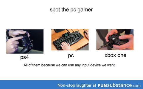 PC gamers