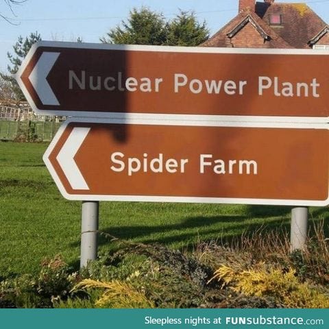 What could possibly go wrong