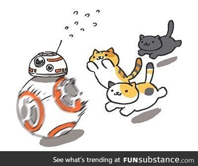 When BB-8 meets cats