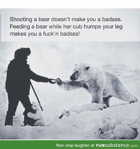 Don't shoot bears