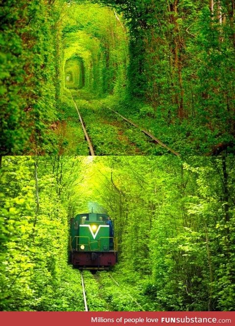 The Tunnel of Love, Ukraine