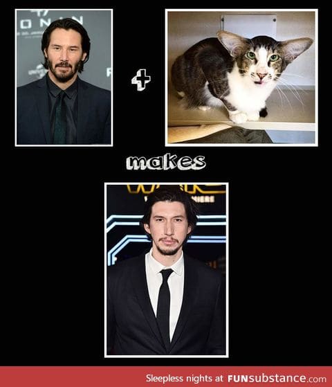 Keanu + Cat makes