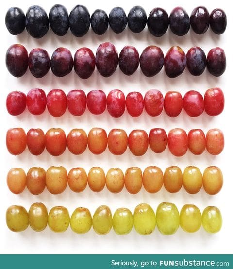 Shades of grapes