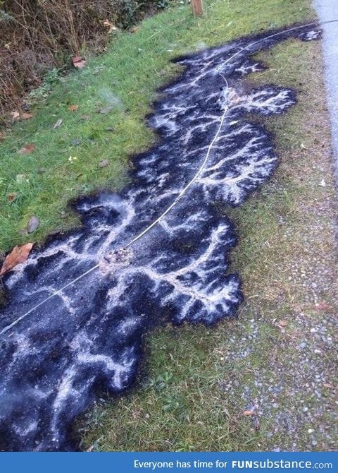 Burned pattern from a downed electrical line