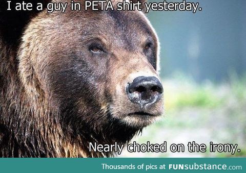 bear peta irony shirt (titles are difficult)