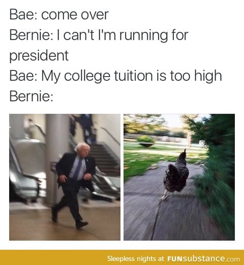 Bernie FTW!