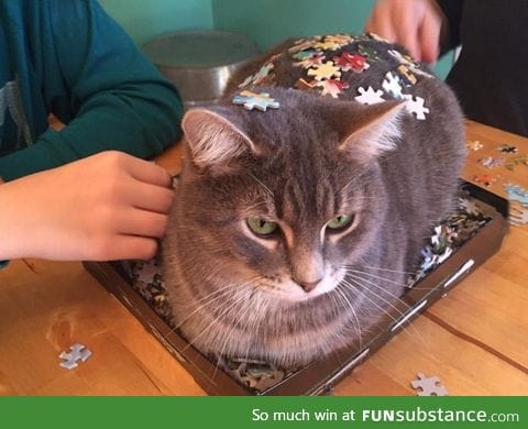 These 3D puzzles are so lifelike