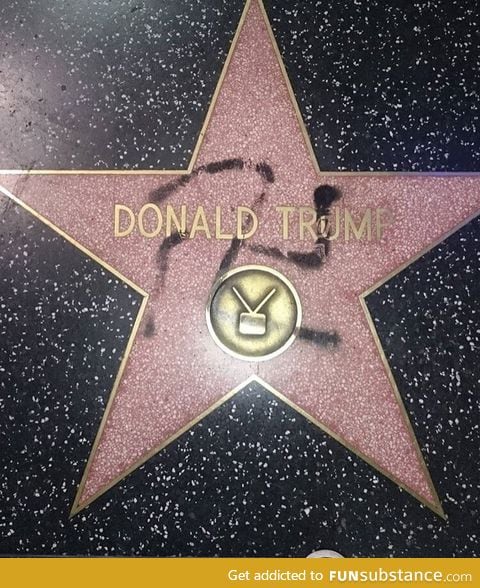 Someone vandalized Donald Trump's Hollywood Walk of Fame star