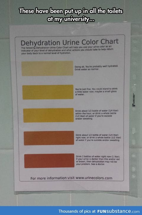 Dehydration levels to keep in mind