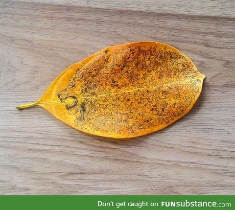 Sketched on a leaf