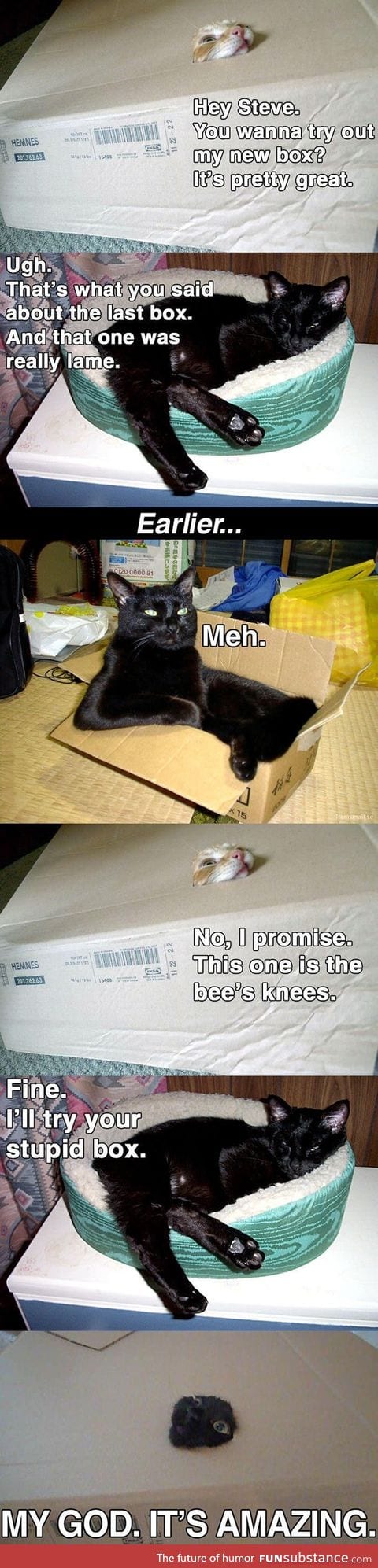 Just cats and boxes