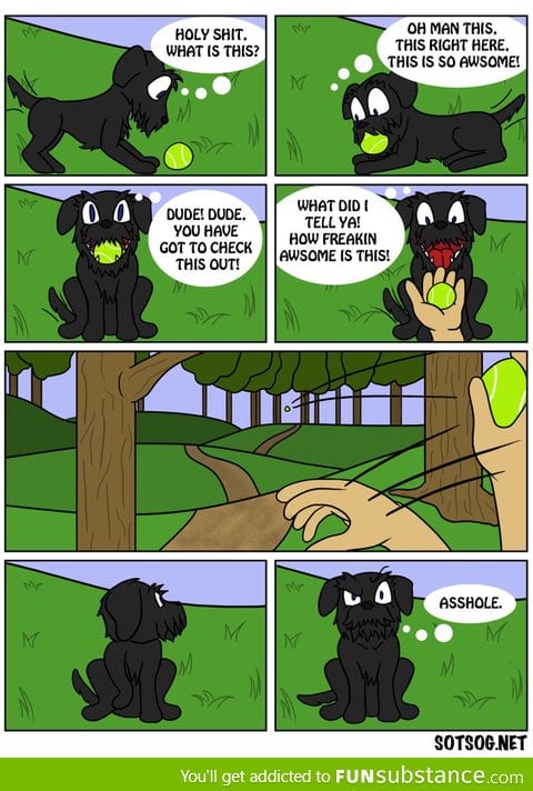 Fetch!