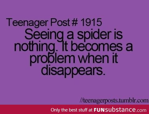 Spider problem