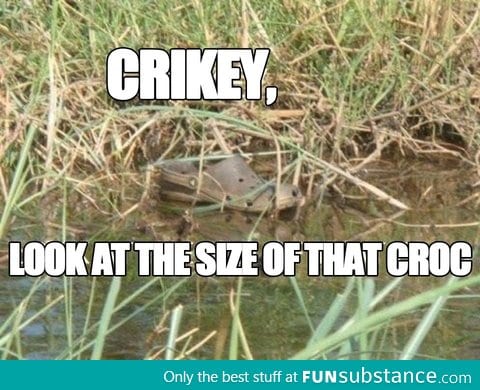 This made me laugh, and then miss Steve Irwin