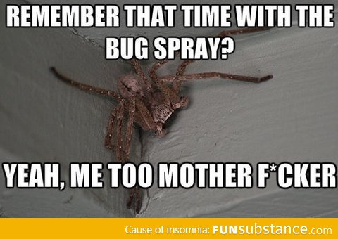 Remember that time with the bug spray