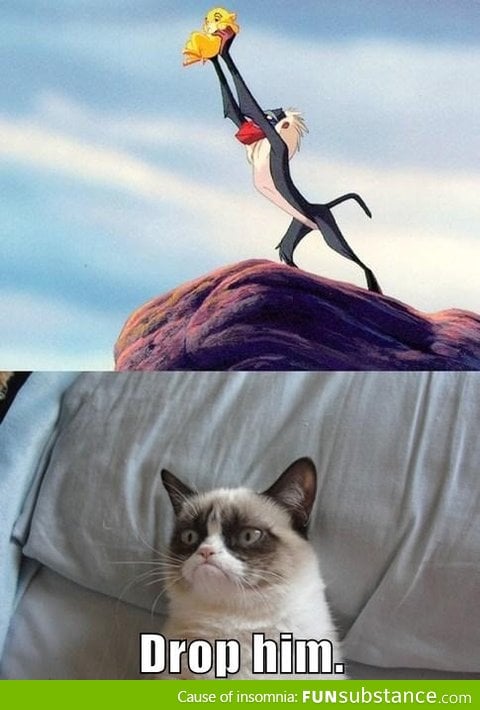 Your grumpy cat Lion King picture made me think of this