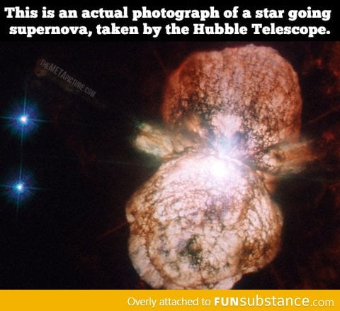 An actual photograph of a star going supernova