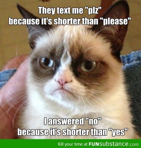 Why grumpy cat says no