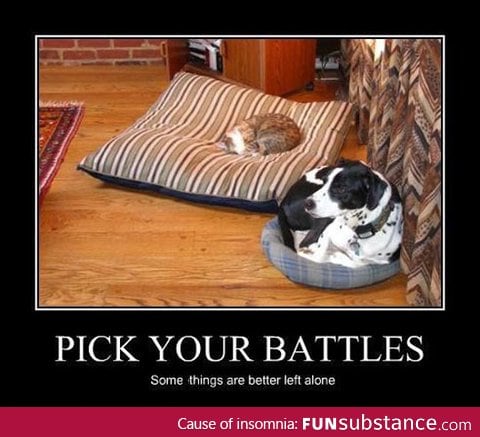 Pick your battles