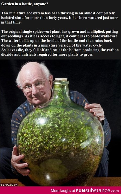 Garden in a bottle: Watered once in 53 years!