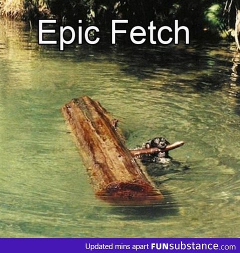 Fetch that log!