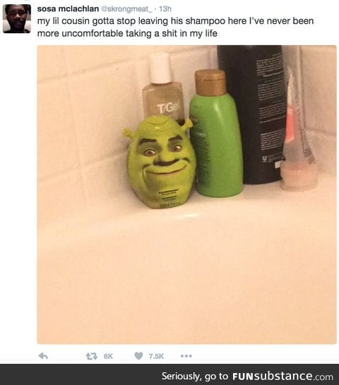 Shrek is love