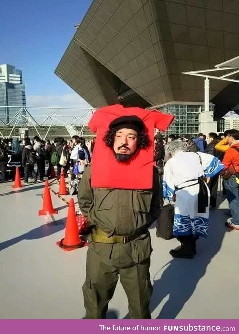 The ultimate cosplay