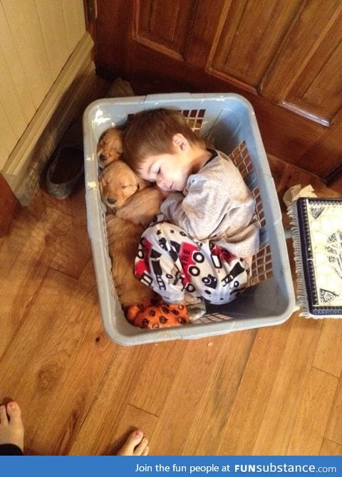 This kid fell asleep in a basket with his golden retriever