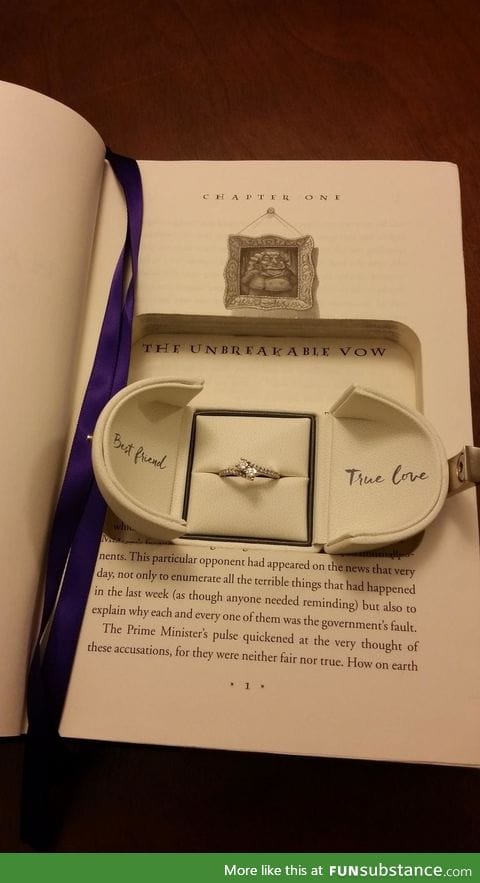 Harry Potter proposal