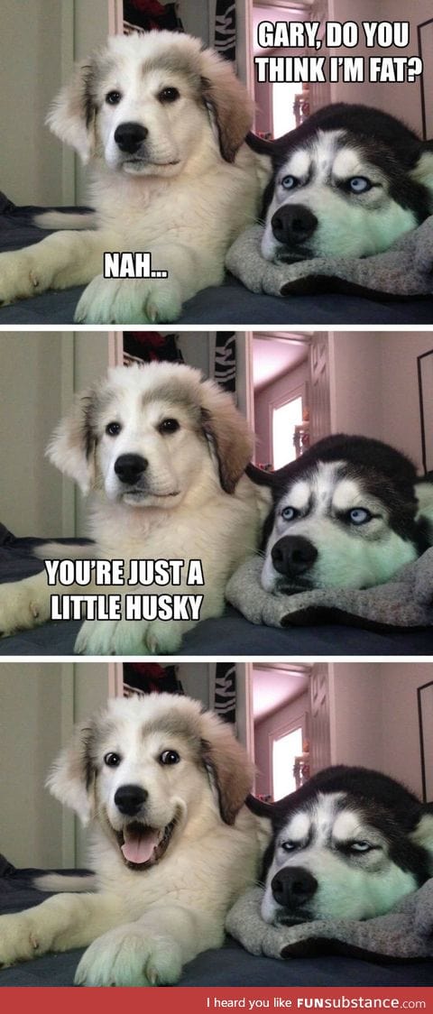 Pun puppy