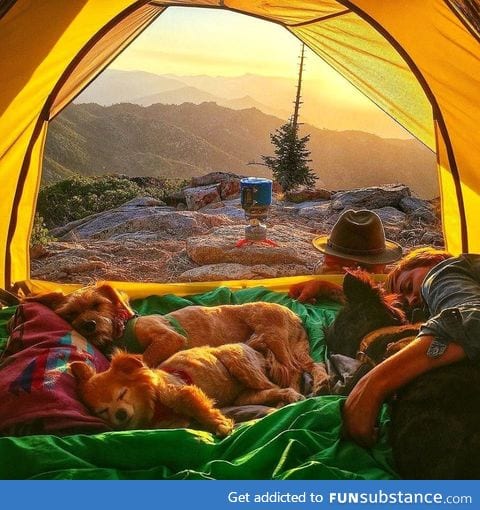 Best kind of camping