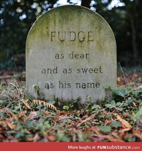 Pet grave in a pet cemetery at Exbury Gardens