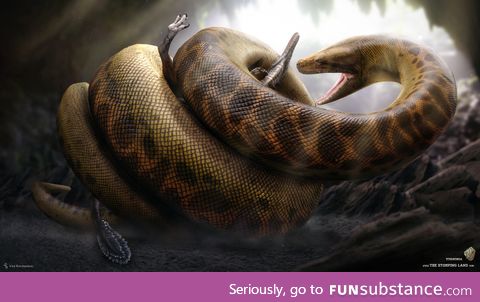 Titanoboa, this thing actually roamed the Earth
