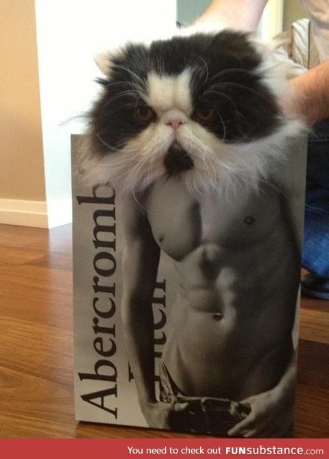 Yes I have been working out, thanks for noticing