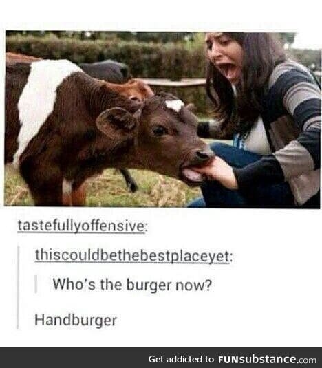 Who's the burger now huh?