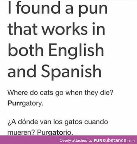 Bilingual pun