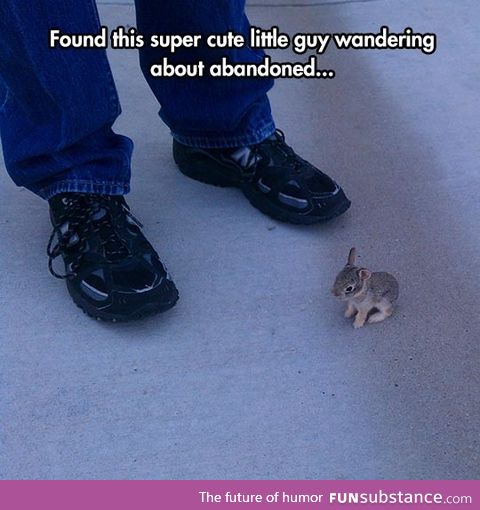 That bunny is so tiny