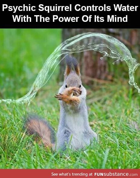 This squirrel is a water bender