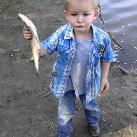 fish are not toys, child