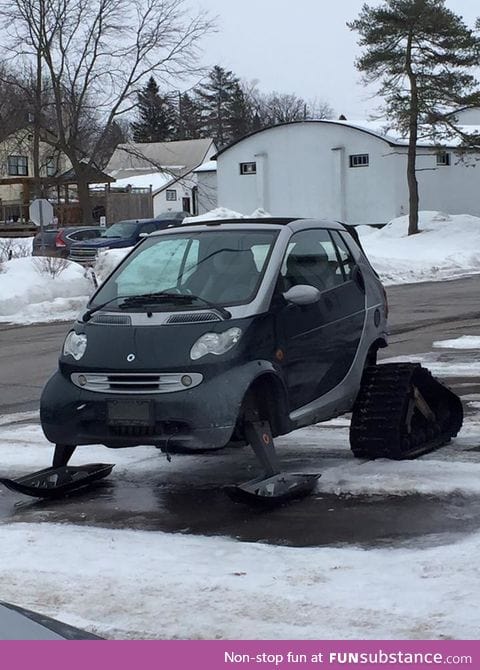 When life gives you lemons... Canadian edition