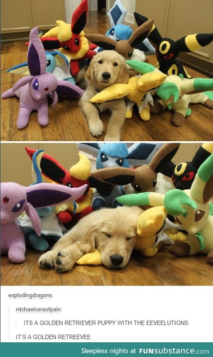 The cutest Eeveelution