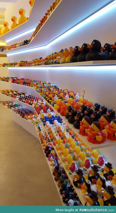 Rubber duck shop