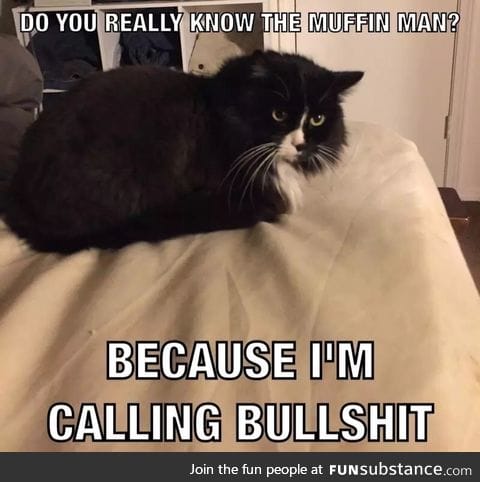 I made a meme of my cat