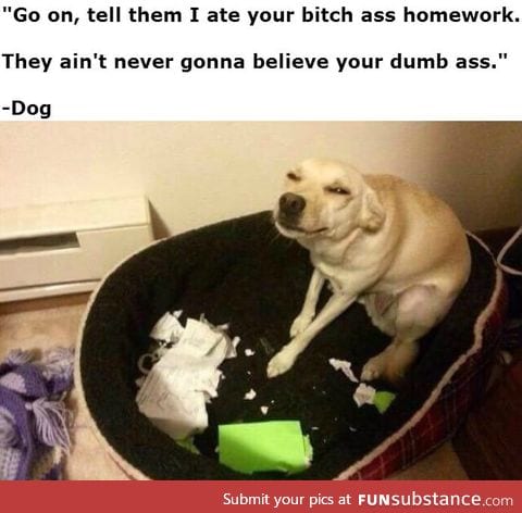 I ate your b*tch ass homework