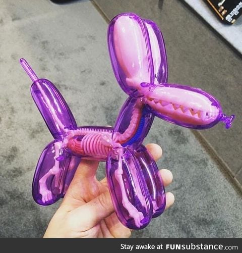 Balloon dog anatomical model