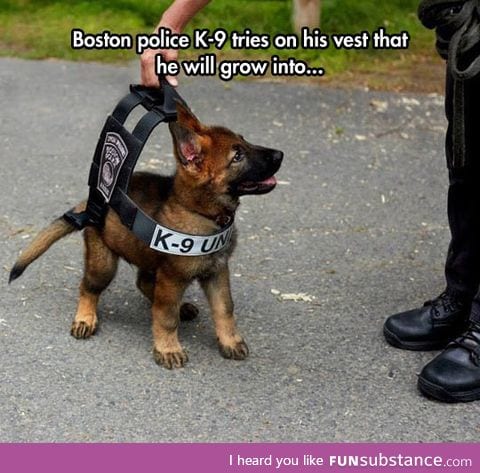 Officer in training