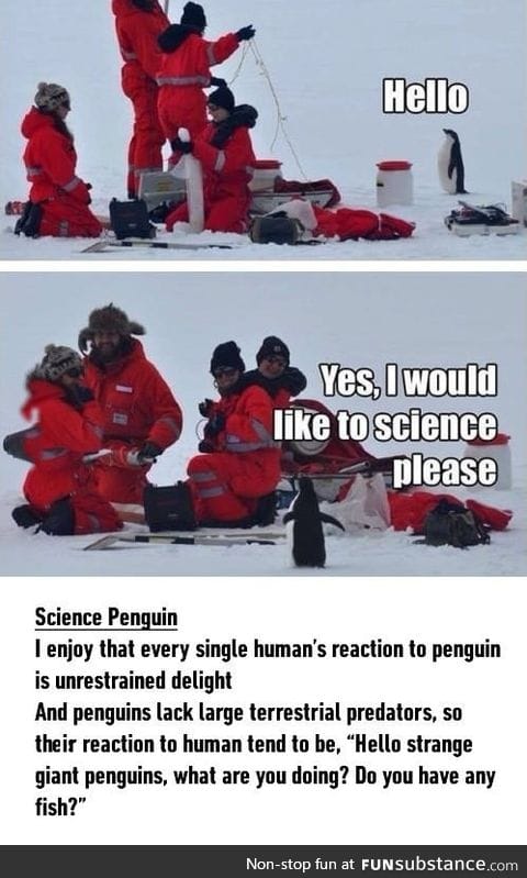 I would like to science, please