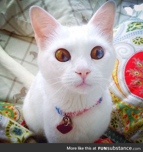 It looks like there's a universe in her eyes