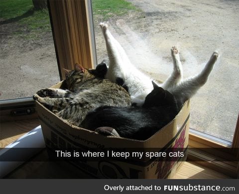 This is where I keep my spare cats