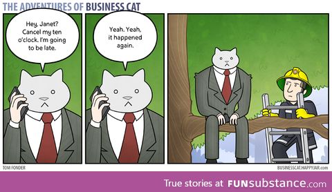 Business Cat